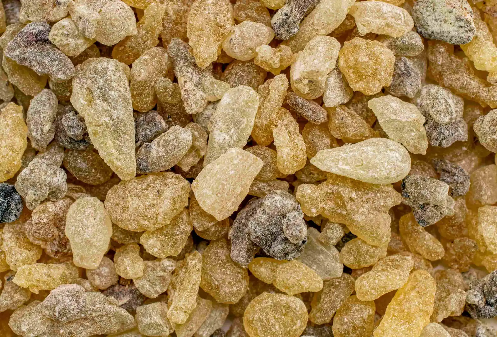 Boswellia